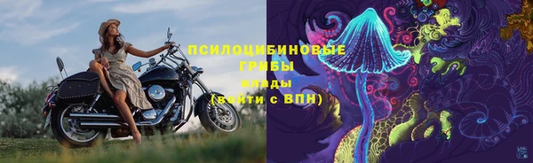 стаф Армянск