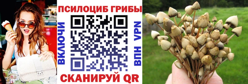 Псилоцибиновые грибы Psilocybine cubensis  Сухой Лог 